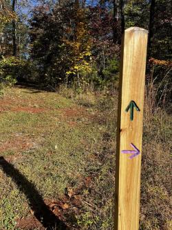 4x4 post with two colored arrows mark the trail directions at Countywide park