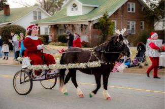 Lady in Santa gear drives a buggy in parade