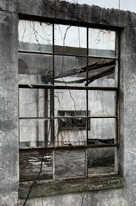 Broken window of abandoned commercial building with dead trees and vines