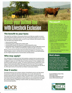 Flyer about Livestock Exclusion Cost Share Program from SWCD