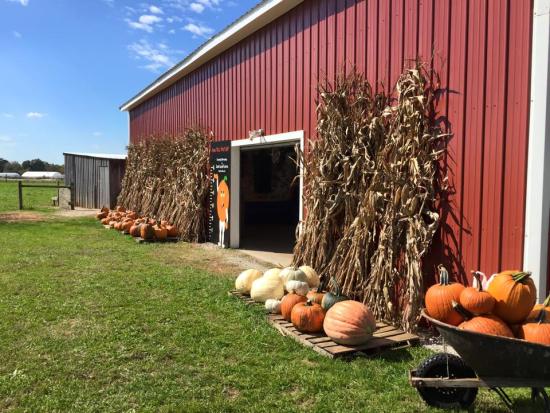 Barn with Fall Decor outside and pumpkins