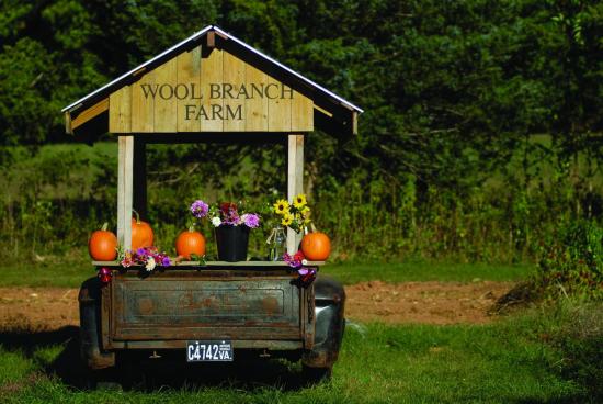 Quaint Farm Cart loaded with pumpkins and fall flowers