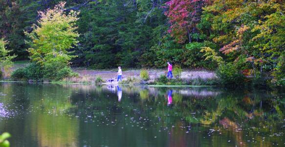 Two people walk their dog along a trail behind the pond at Timbrook Park