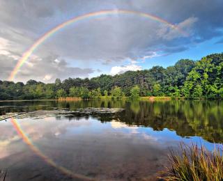 Rainbow stretches across the sky and forest and is reflected in the waters of a still pond.