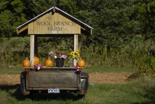 Wool Branch Farm Cart