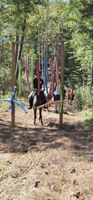 Horseback riders go through pool noodles hung to be obstacles on trail