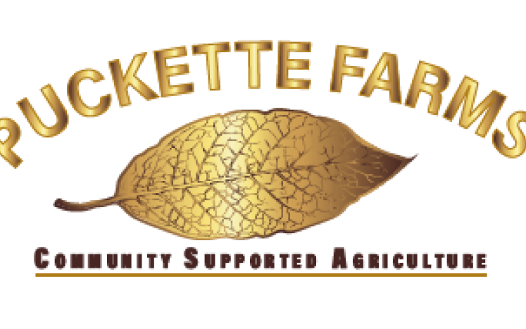 Tobacco Leaf in Gold with lettering surrounding reading Puckette Farms Community Supported Agriculture